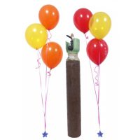 Φιάλη Ήλιον Balloon Gas 10 κυβικών για μπαλόνια